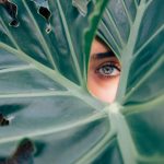 Eye peeking out of a large green plant leaf